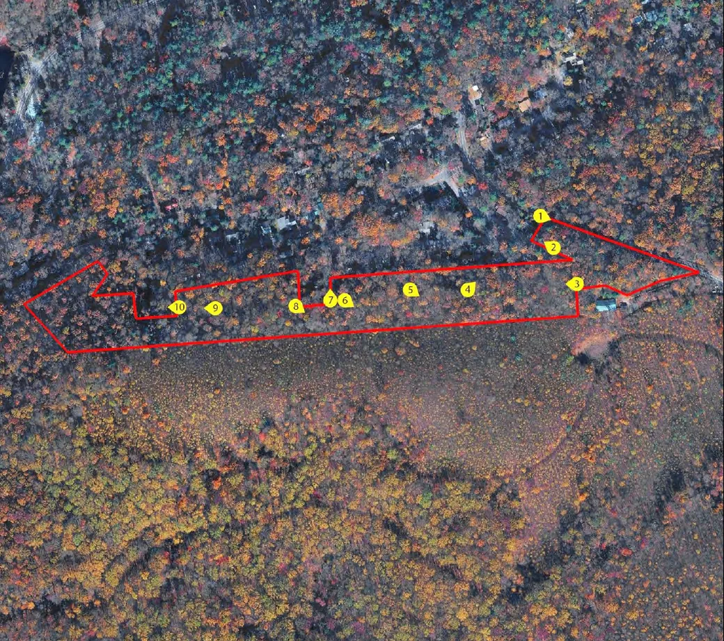 Aerial map from the Natural Lands appraisal showing the Southern Woodlands parcel boundary outlined in red, with numbered survey markers along the northern edge
